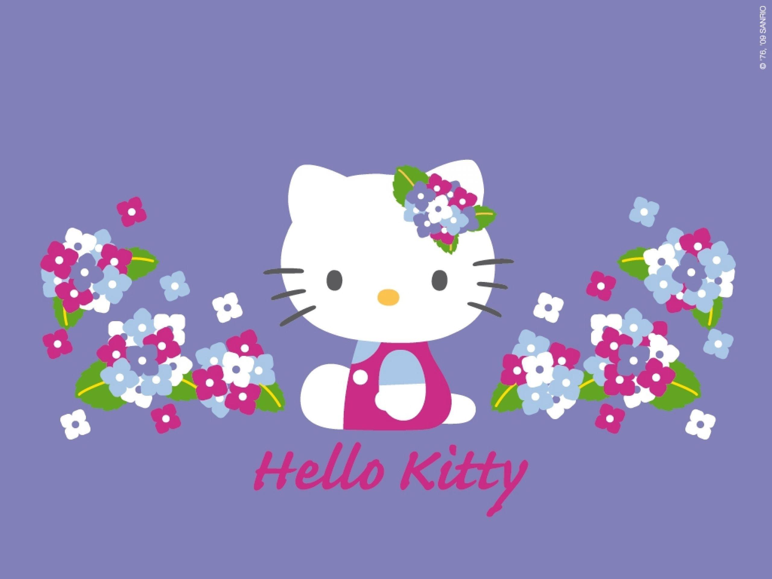 Hello Kitty Wallpapers Ungu Terbaru Wallpaper Cave