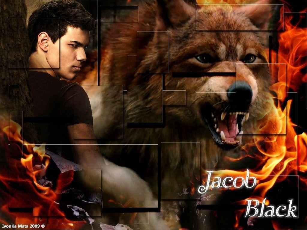 Twilight Jacob Wolf Hd Wallpaper Tons of awesome twilight jacob wolf