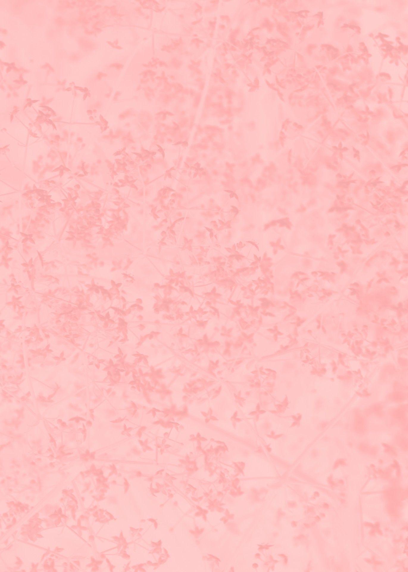 Soft Pink Backgrounds Wallpaper Cave