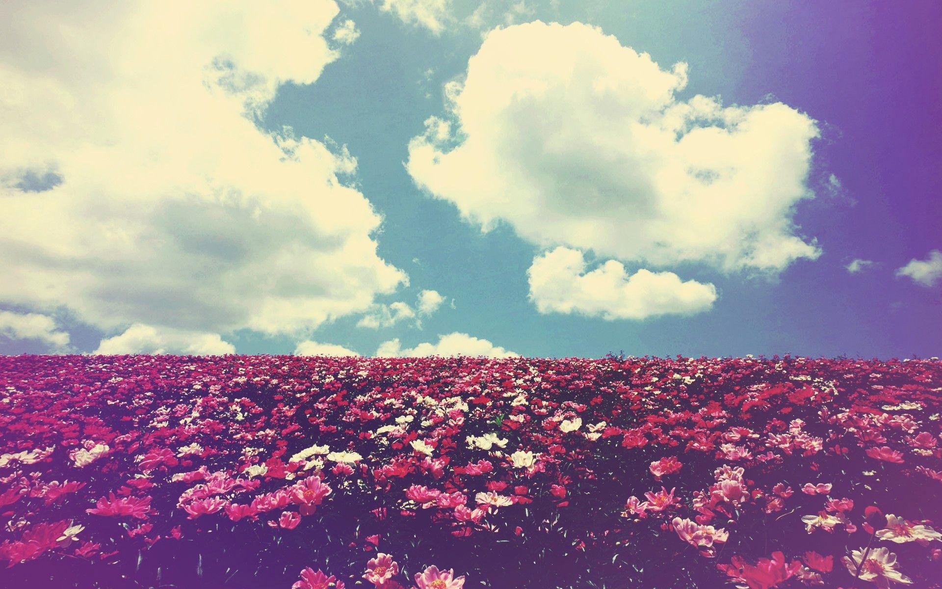 We Heart It Wallpapers Iphone Wallpaper Cave