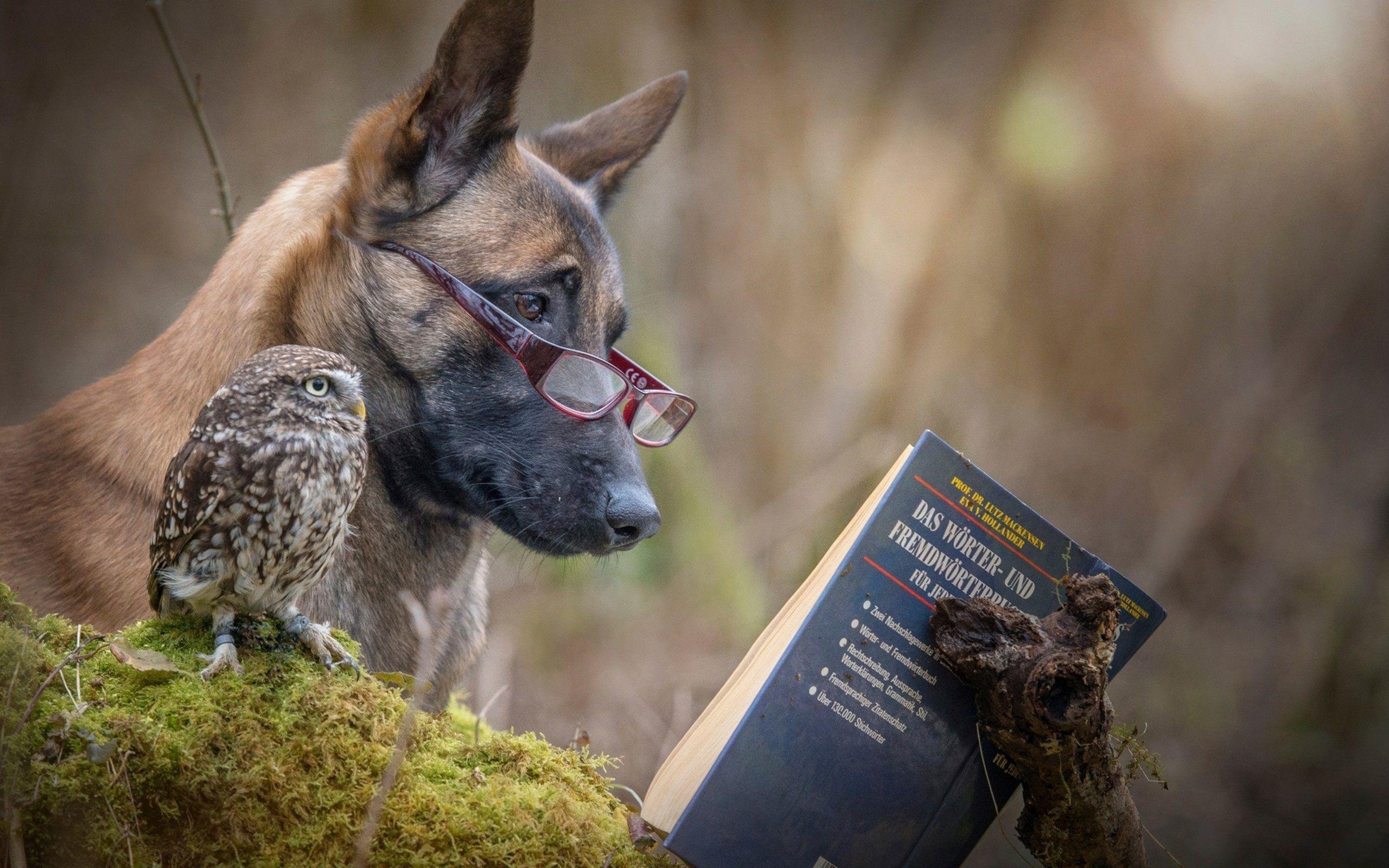 Wallpapers Comedy Wallpaper Cave