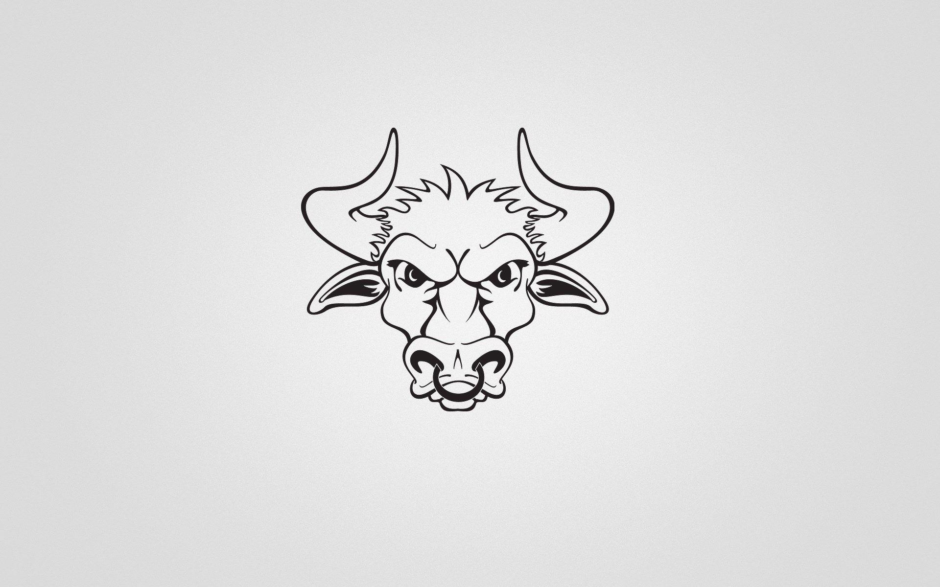 Bull Wallpapers Wallpaper Cave