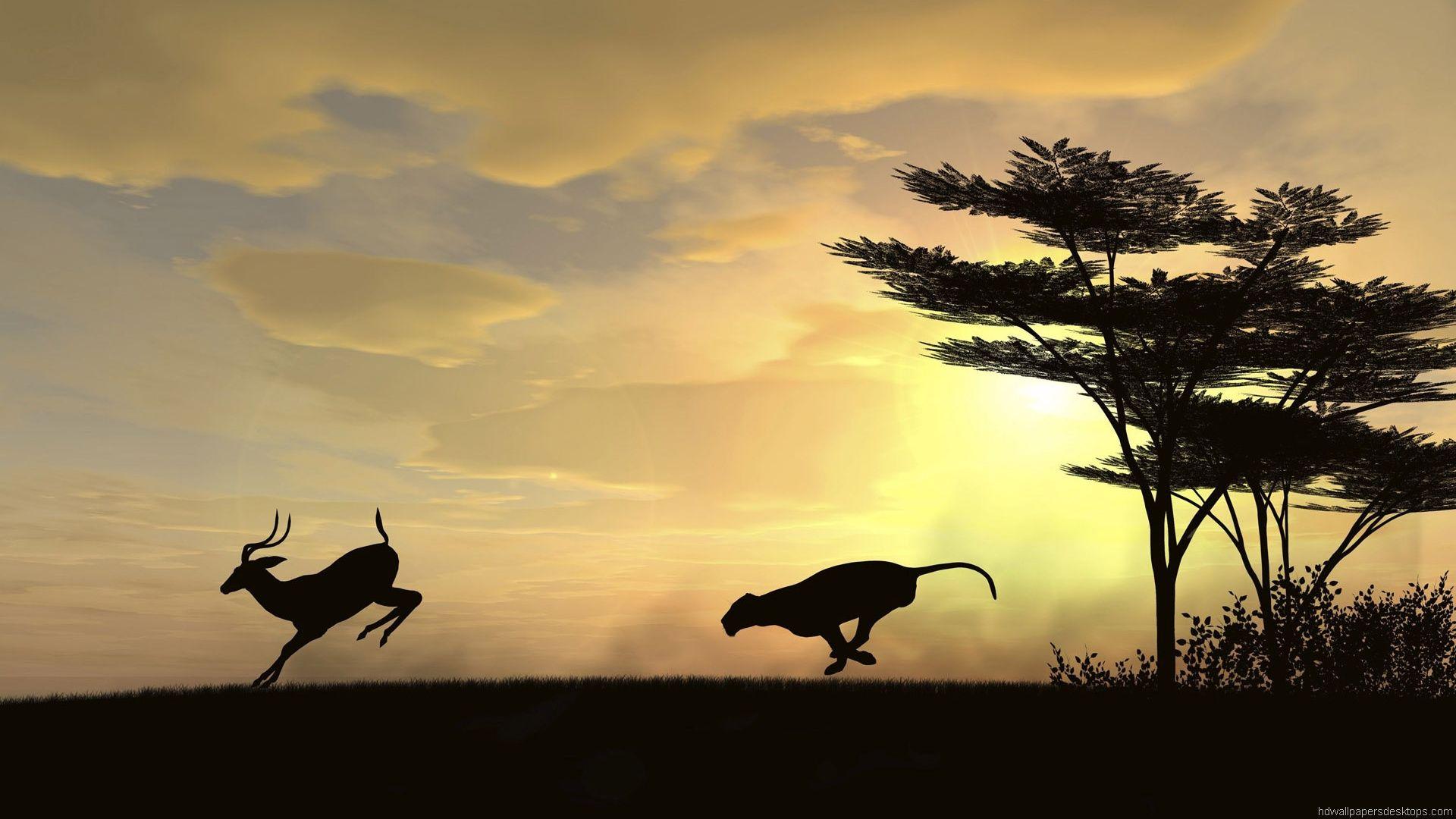 Wallpapers Animal Wallpaper Cave