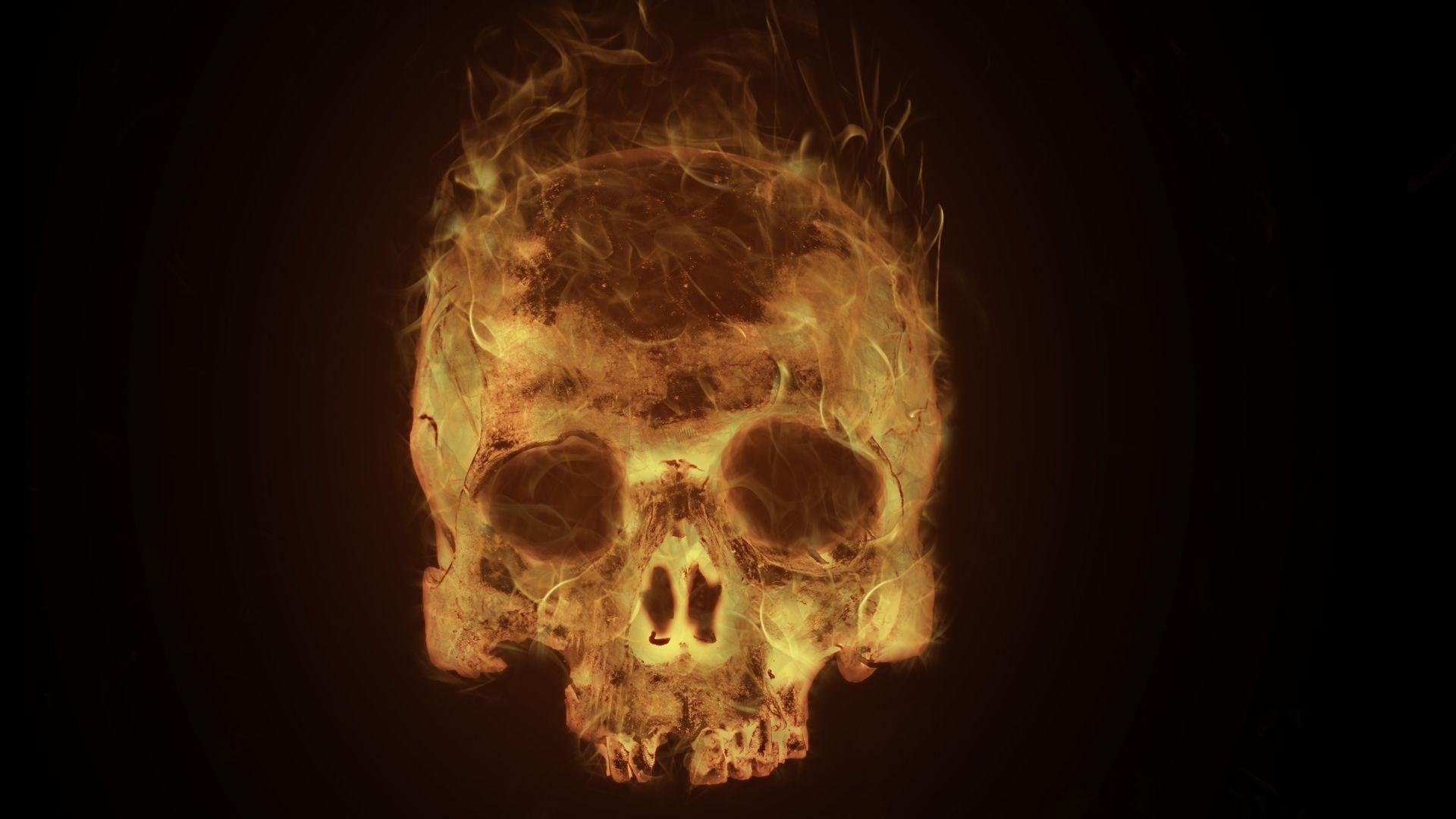 Burning Skull Wallpapers Wallpaper Cave