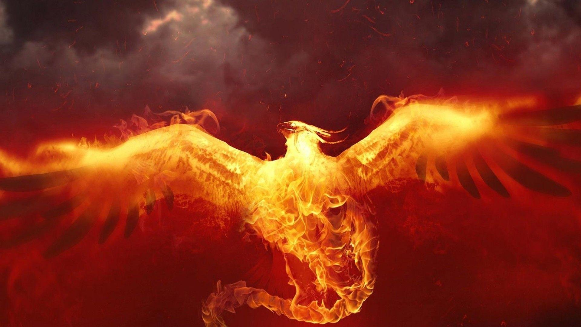 Phoenix Wallpapers HD Wallpaper Cave