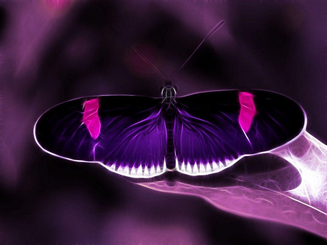 Black And Pink Butterflies Wallpapers Wallpaper Cave