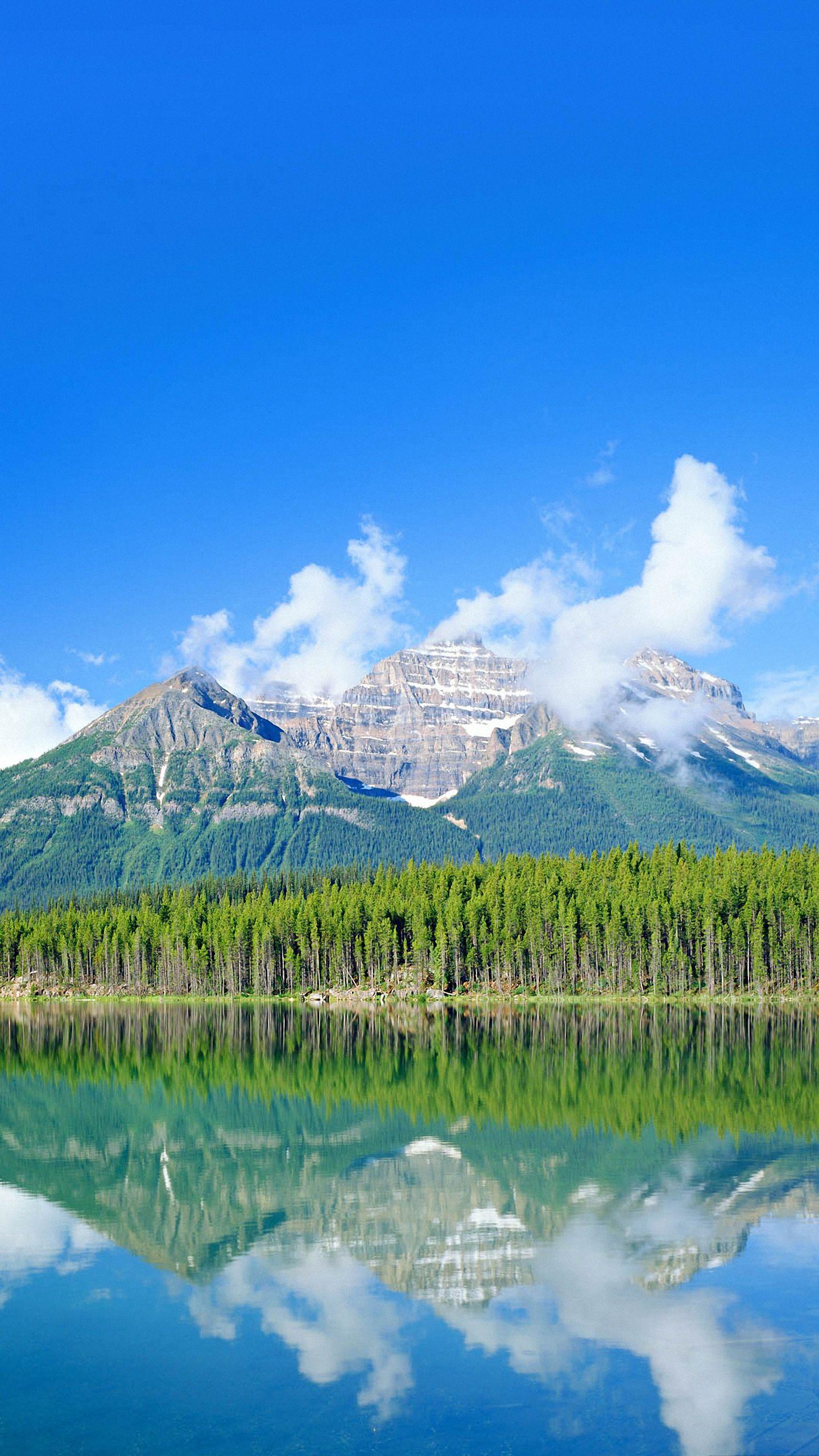 HD Wallpapers Of Mobile MI Wallpaper Cave