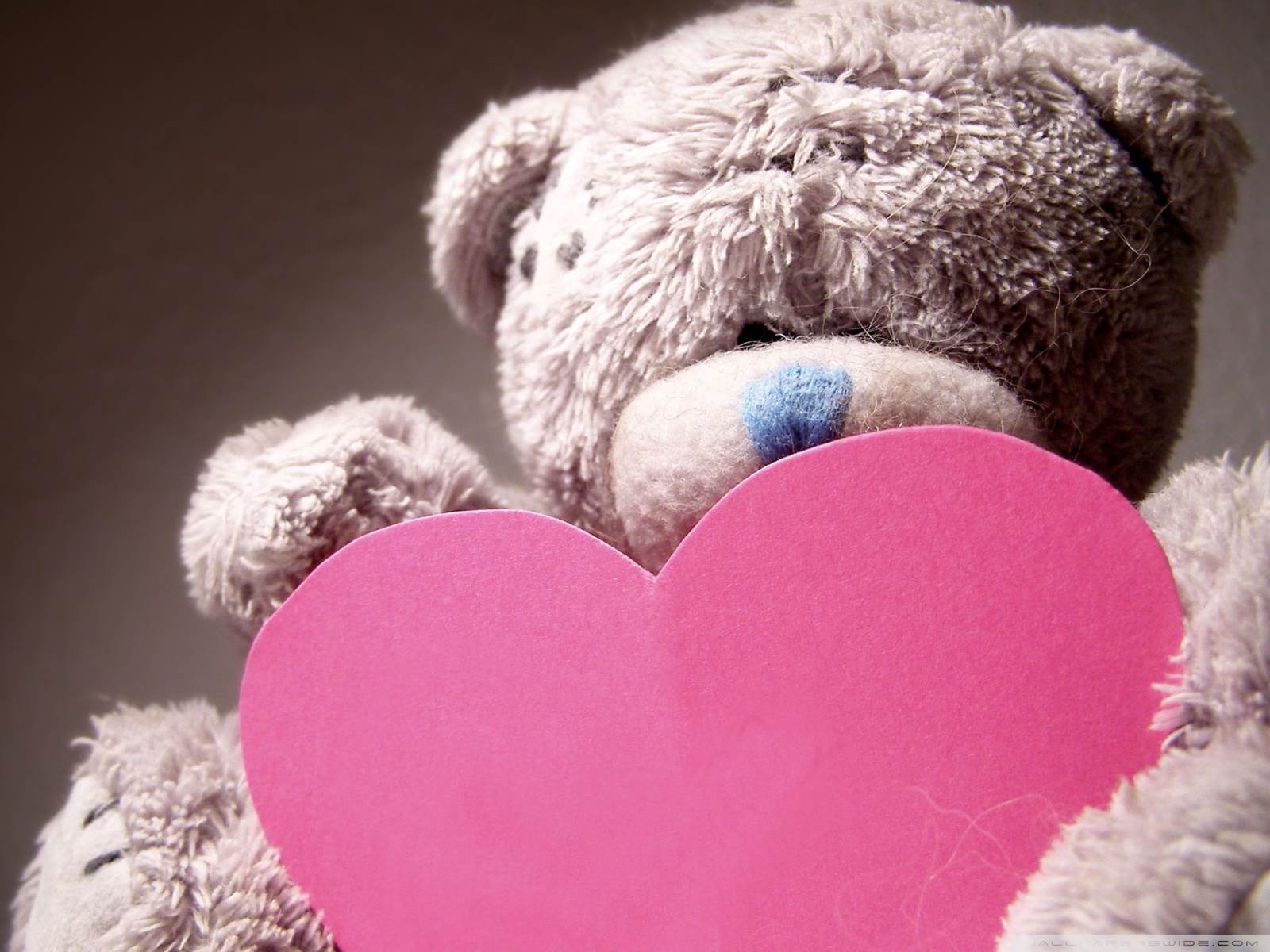 Cute Pink Teddy Bear Wallpapers For Desktop Wallpaper Cave