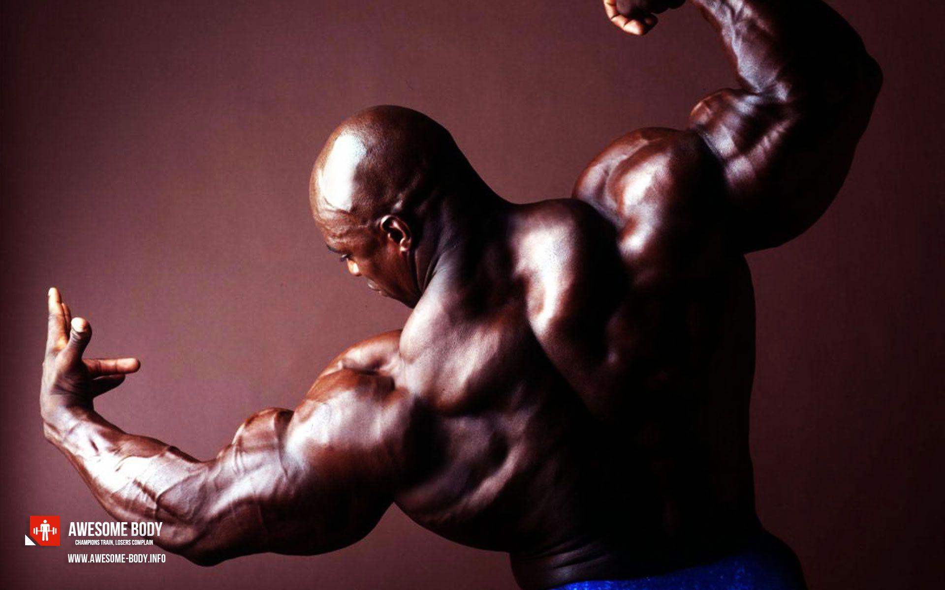 HD Wallpapers Ronnie Coleman Bodybuilding Wallpaper Cave
