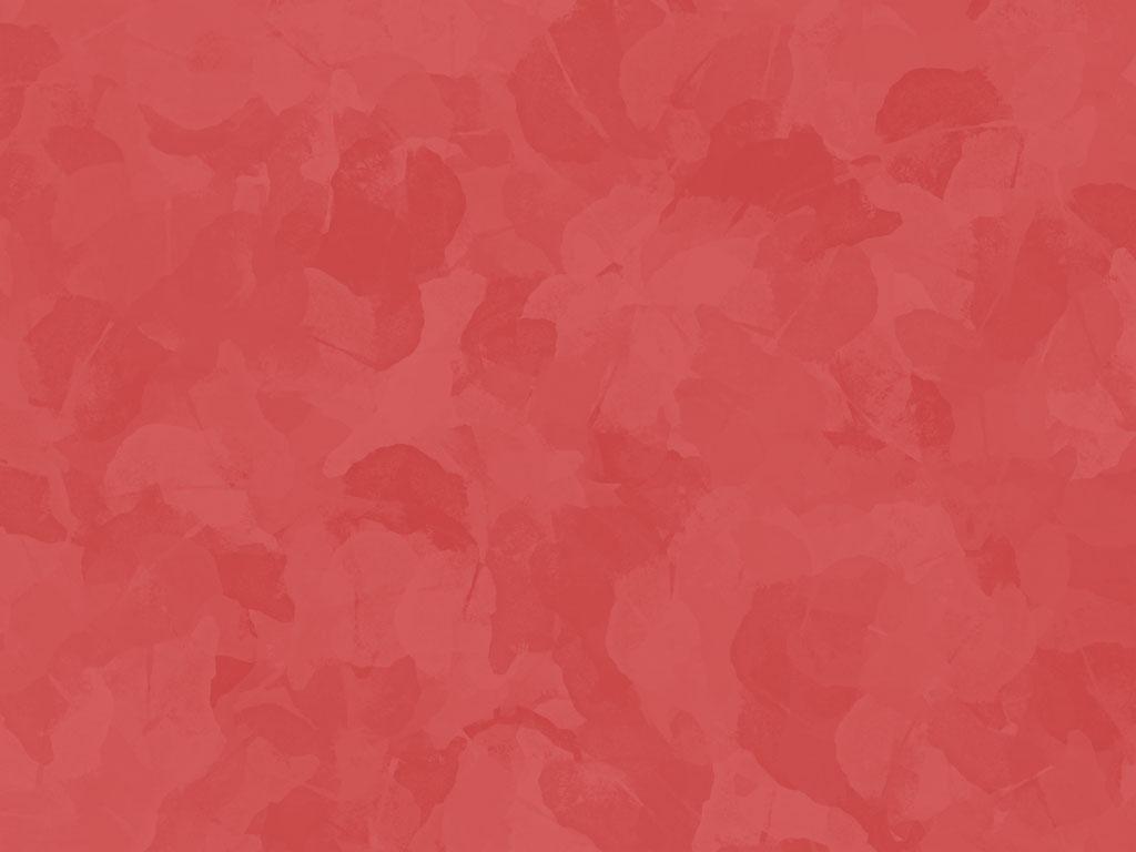 HD Plain Wallpapers Wallpaper Cave