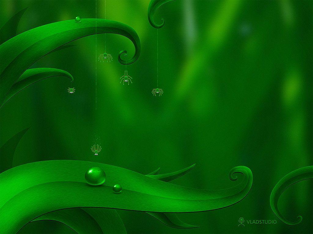 Green Color Wallpapers Wallpaper Cave