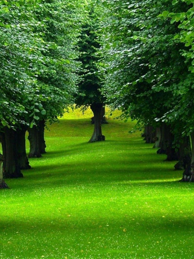 Eye Relax Wallpapers Wallpaper Cave