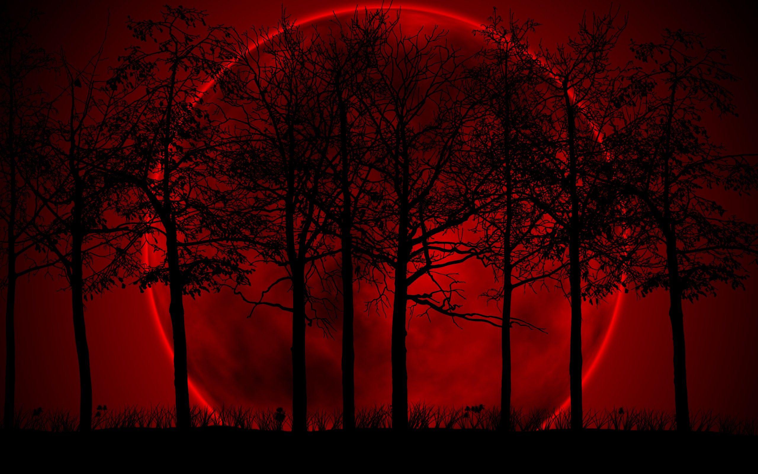 Bloody Wallpapers HD Wallpaper Cave