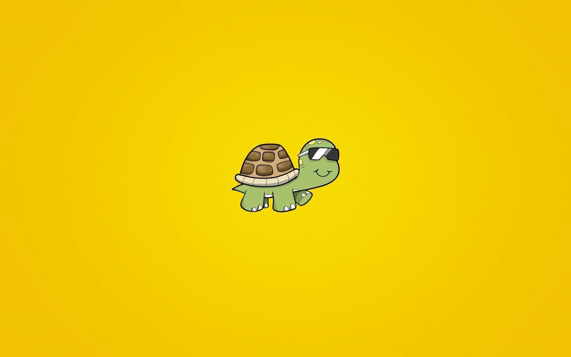 Cute Turtles Wallpapers Wallpaper Cave