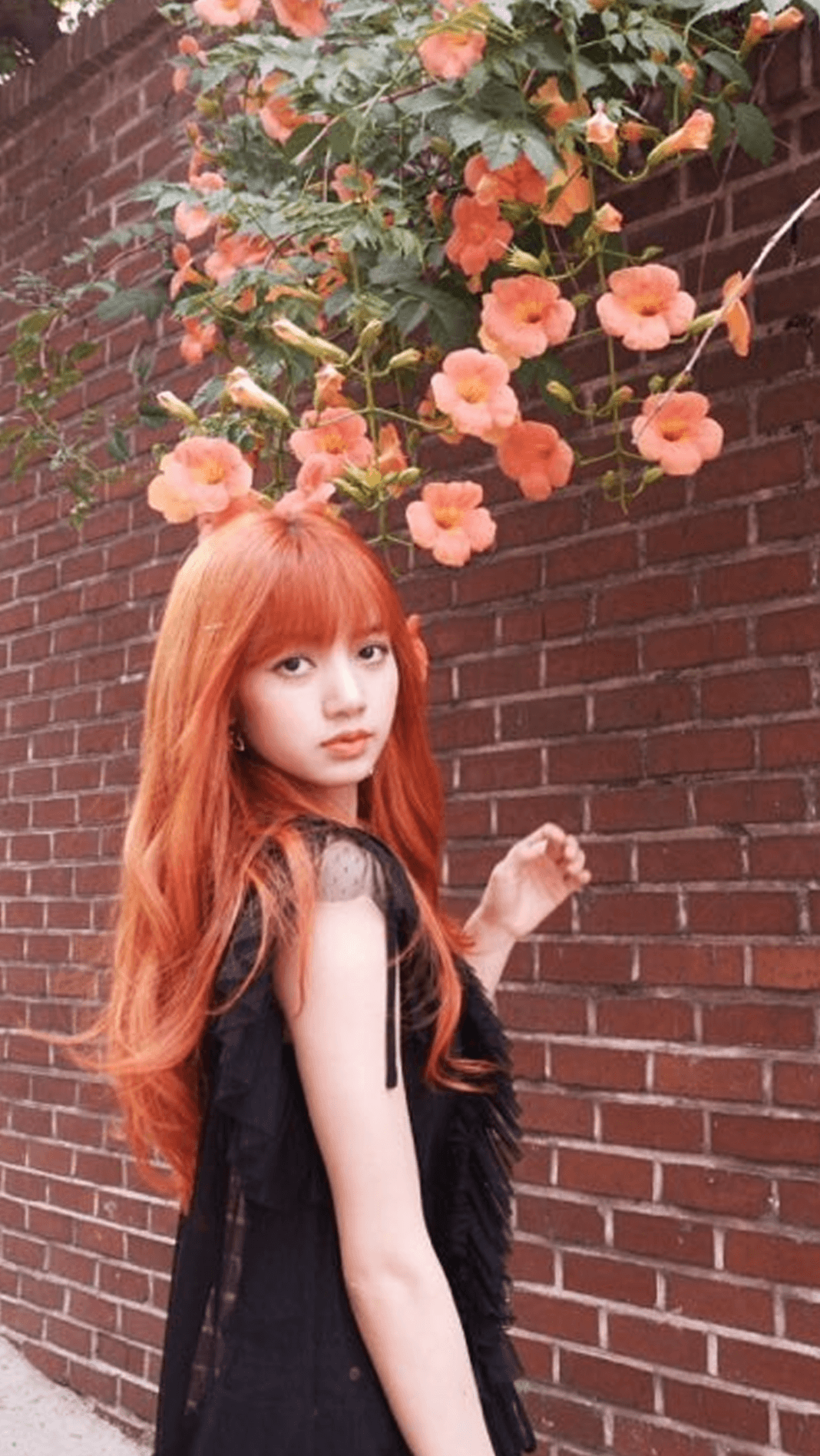 Lalisa Manoban Wallpapers Wallpaper Cave