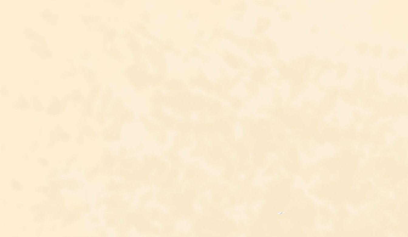 Cream Colored Backgrounds Wallpaper Cave