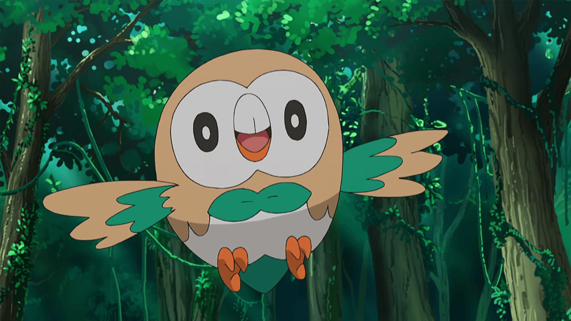 Rowlet HD Wallpapers Wallpaper Cave