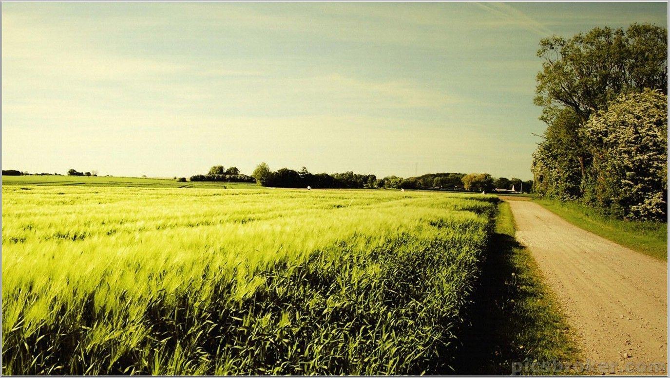 Day Wallpapers Wallpaper Cave