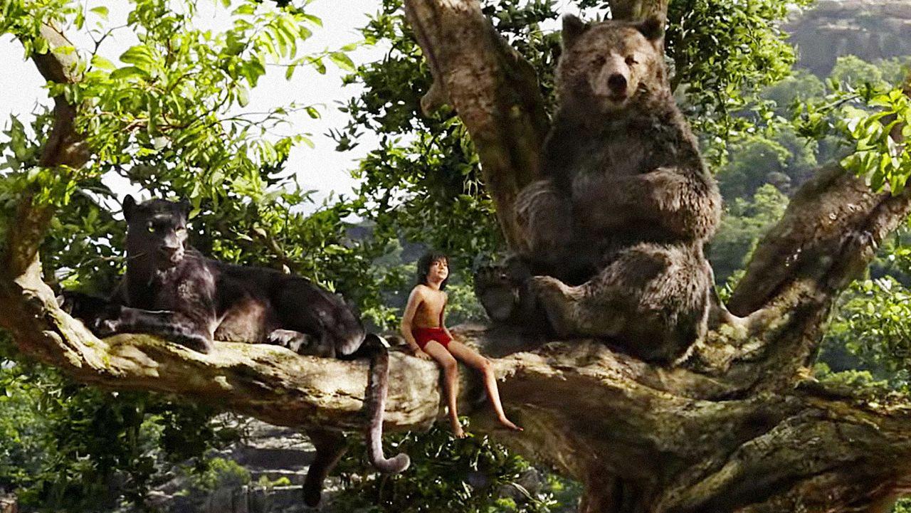 Mowgli Movie Wallpapers Wallpaper Cave