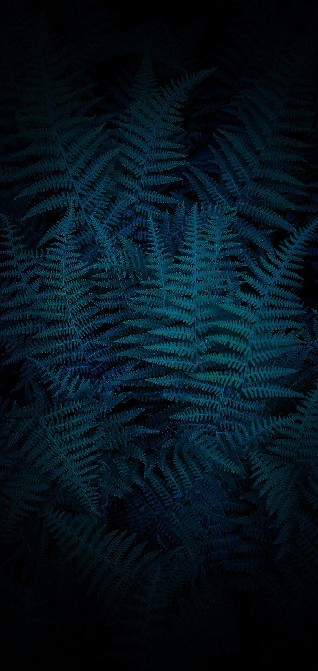 Vivo V9 Wallpapers Wallpaper Cave
