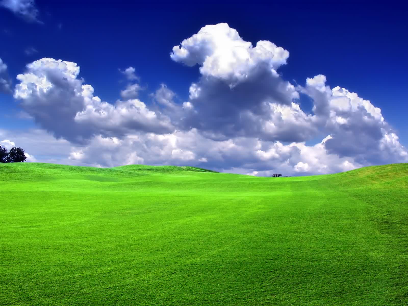 Green Field Wallpapers Wallpaper Cave