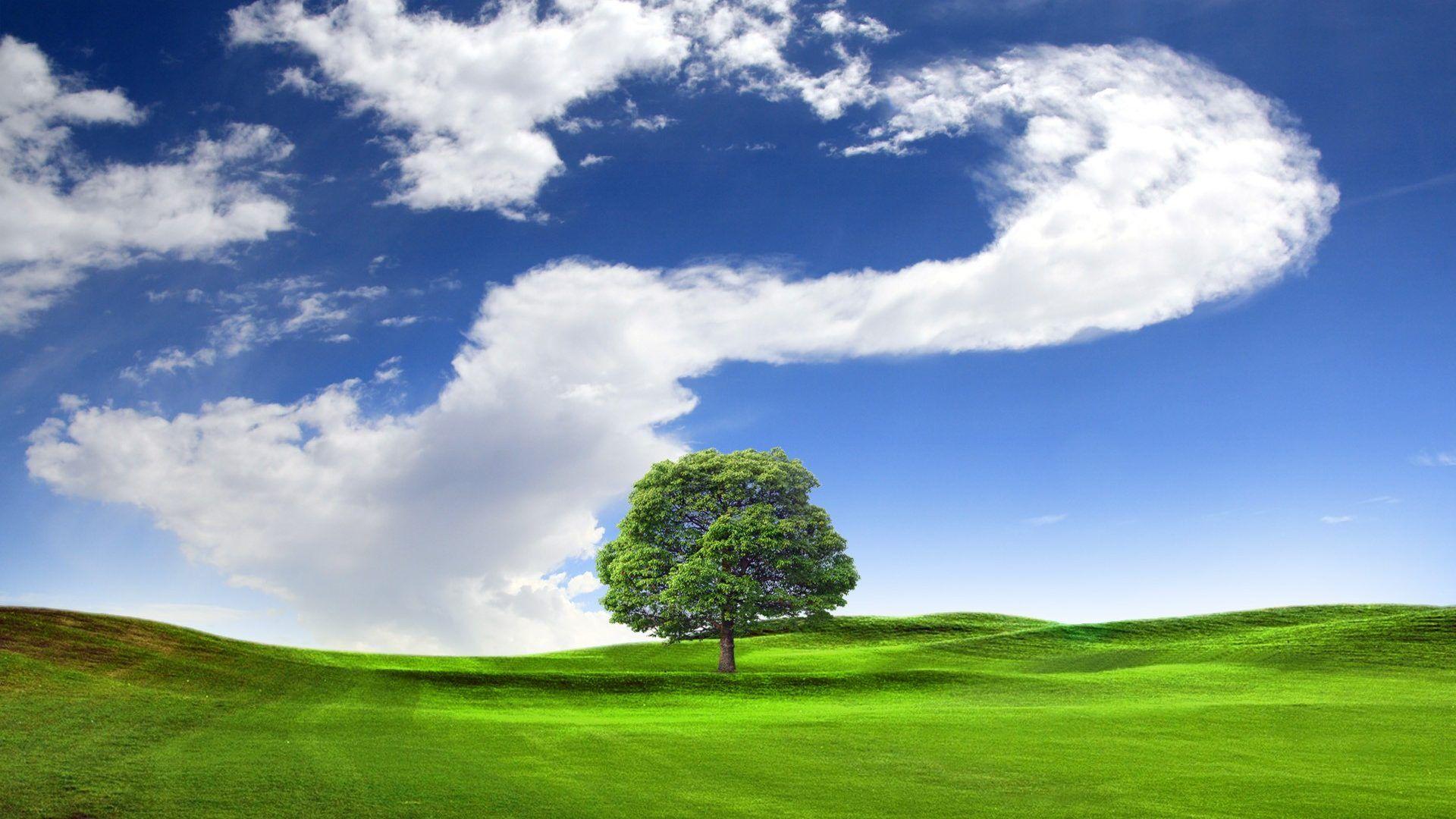 Green Field Wallpapers Wallpaper Cave