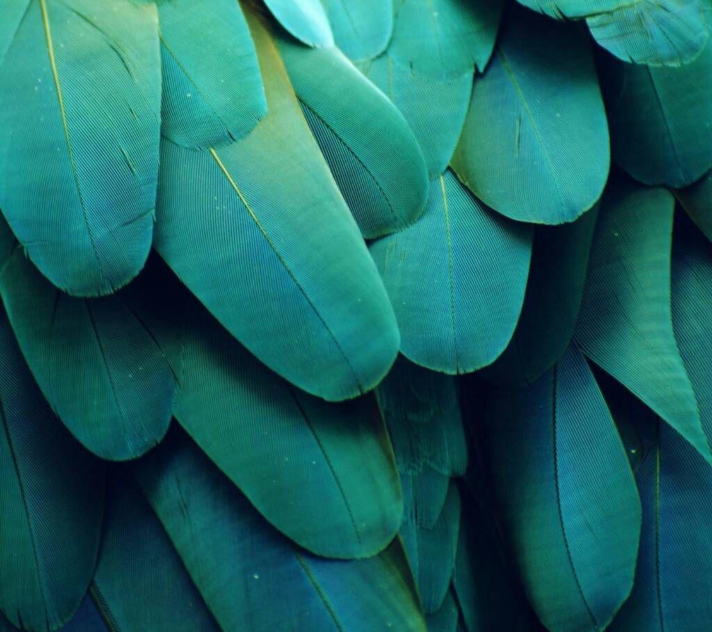 Google Nexus 6P Wallpapers Wallpaper Cave