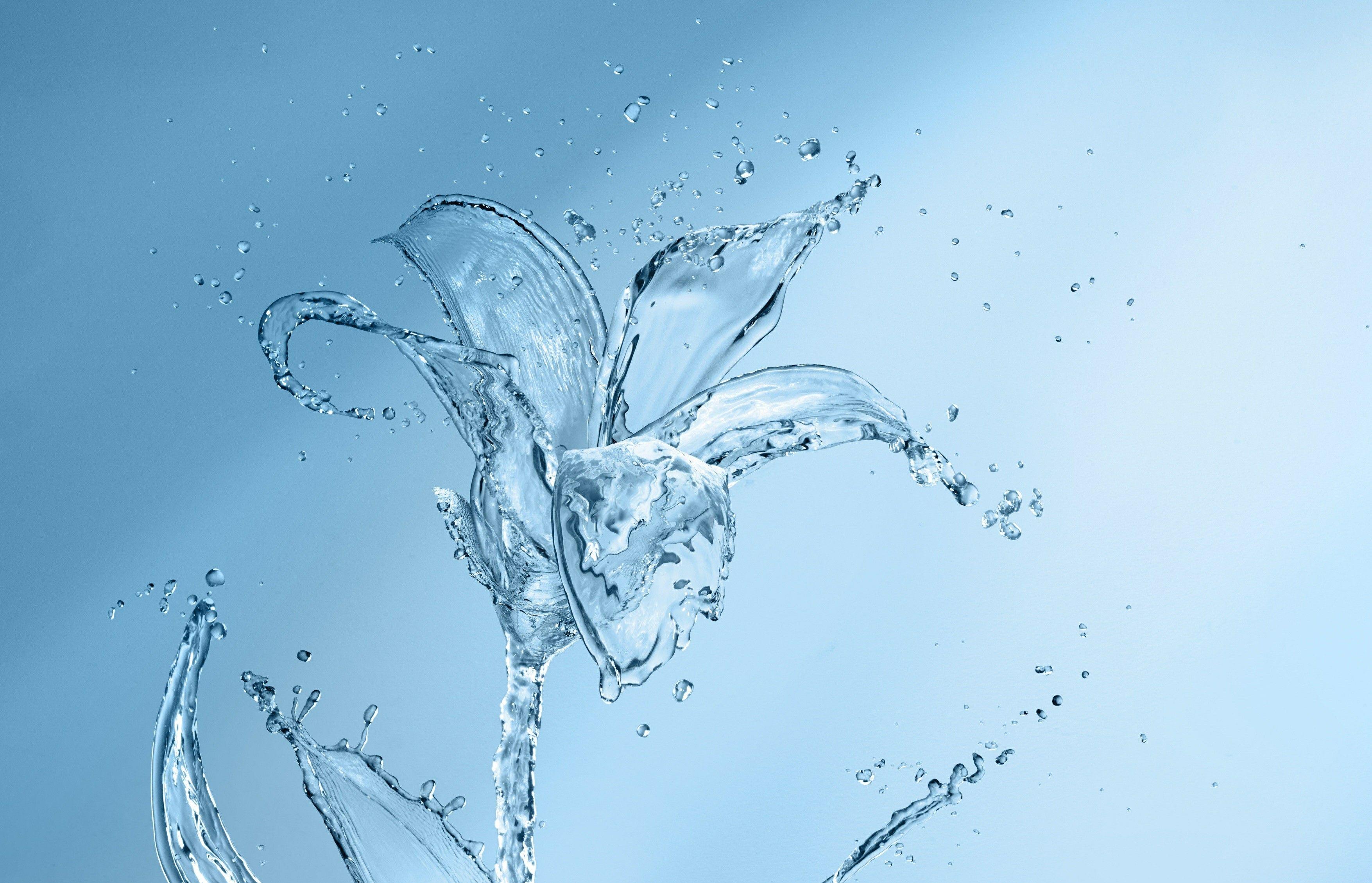 Water Flower Wallpapers Wallpaper Cave