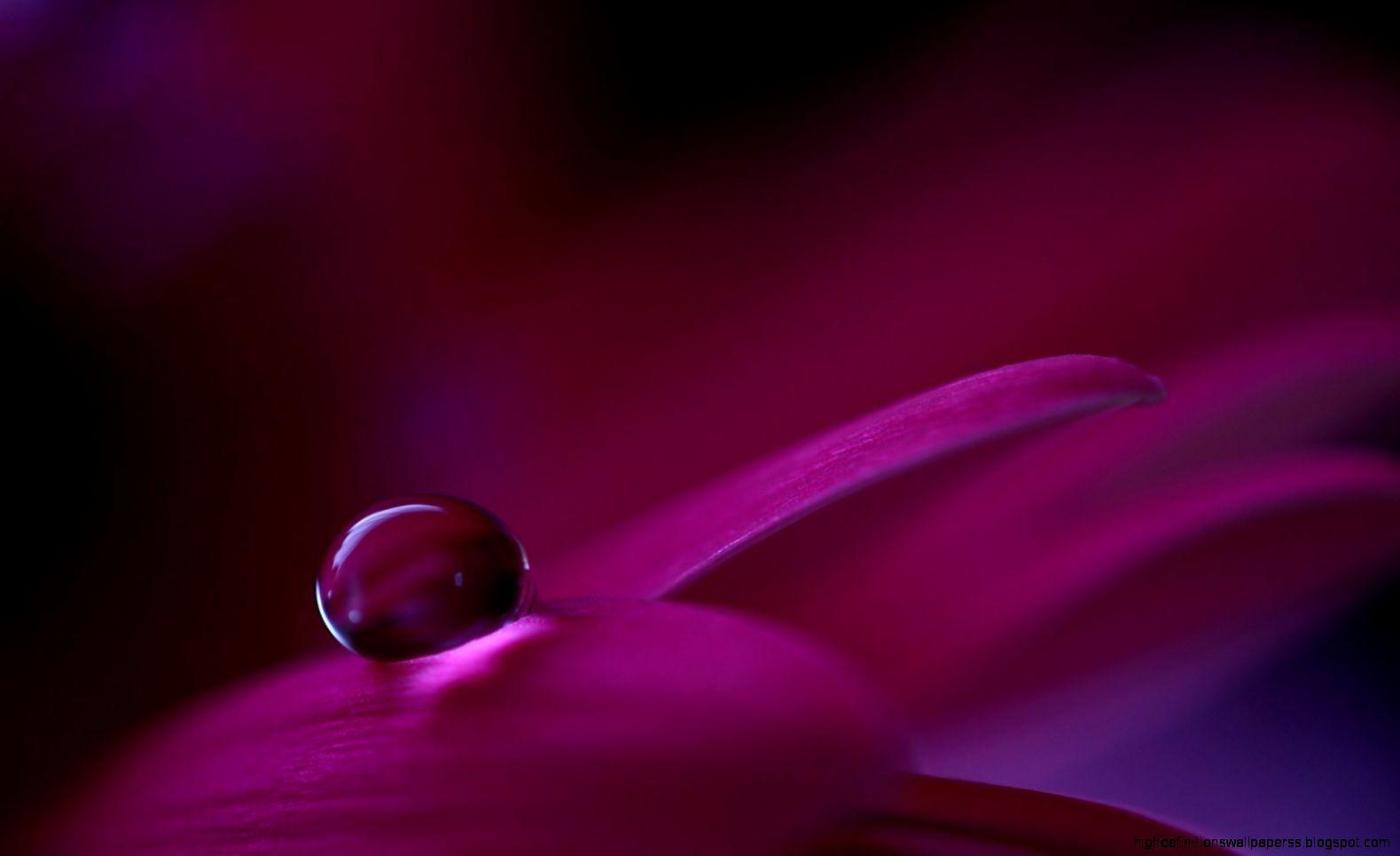 Water Flower Wallpapers Wallpaper Cave