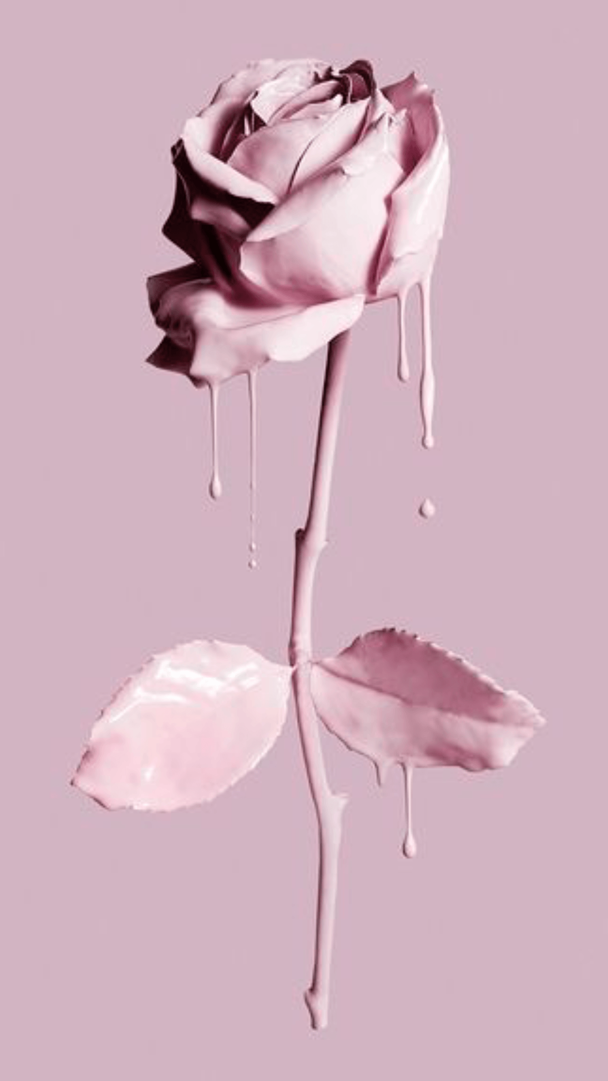 Aesthetic Pink Roses Wallpapers Wallpaper Cave