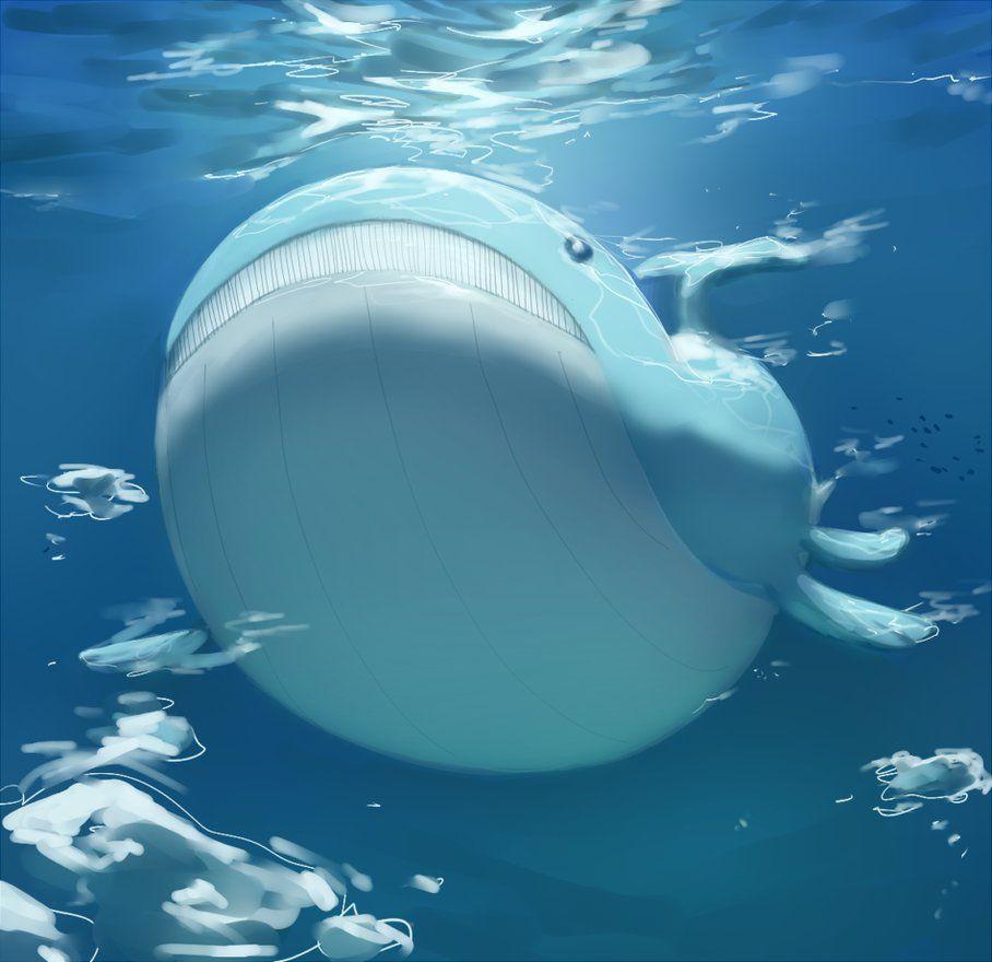 Wailord HD Wallpapers Wallpaper Cave