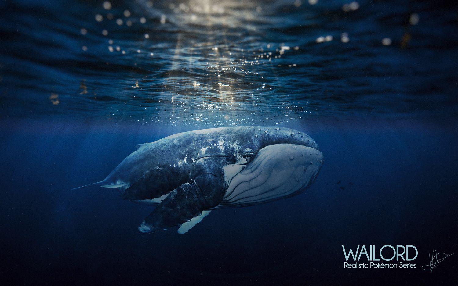 Wailord HD Wallpapers Wallpaper Cave