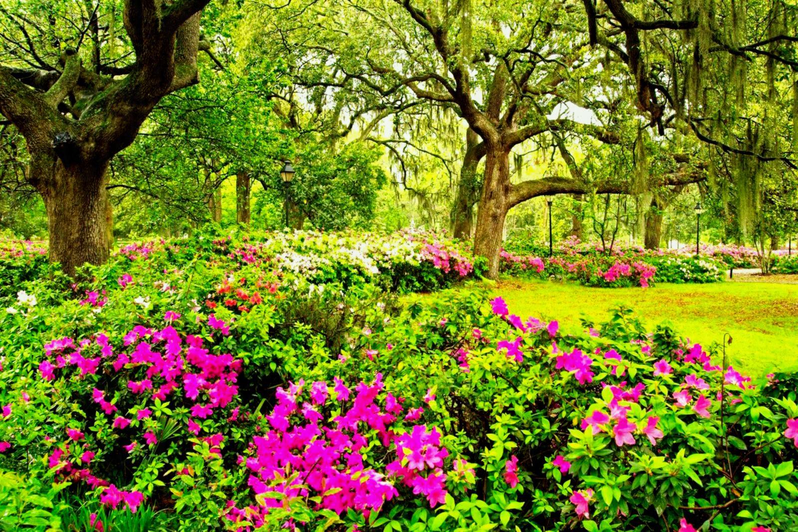 Gardening Wallpapers Wallpaper Cave