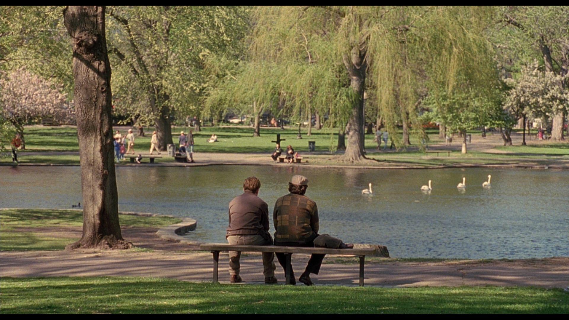 Good Will Hunting Wallpapers Wallpaper Cave