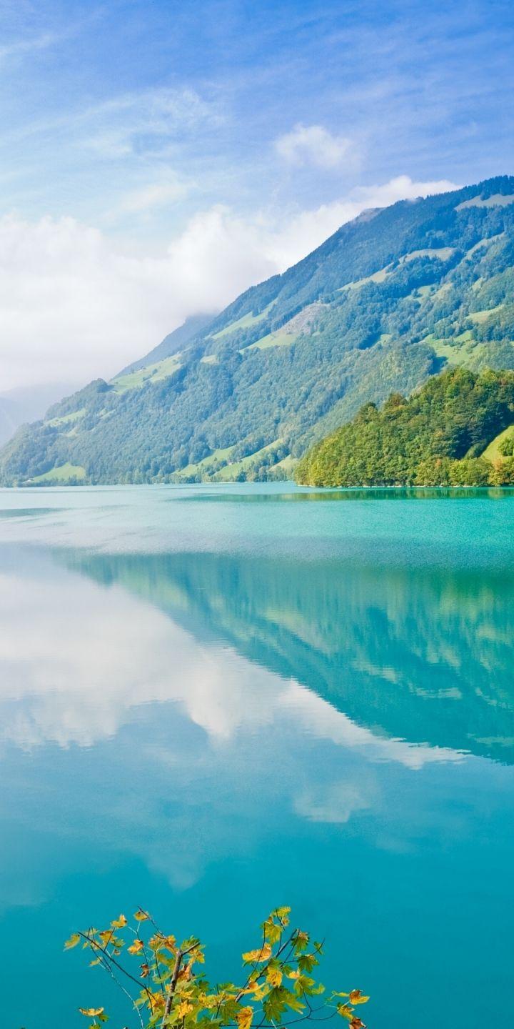 Vivo V7 Wallpapers Wallpaper Cave