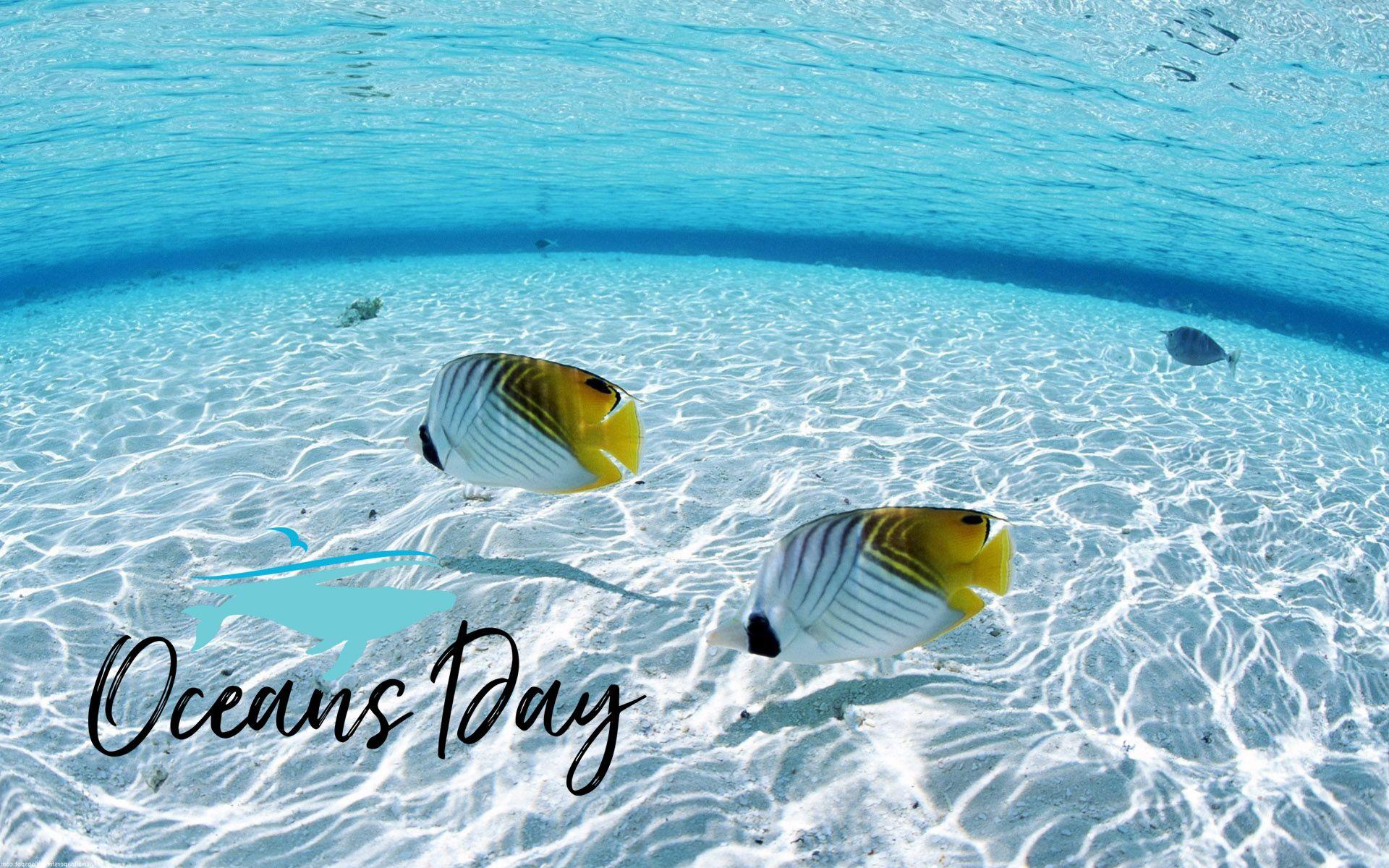 World Oceans Day Wallpapers Wallpaper Cave