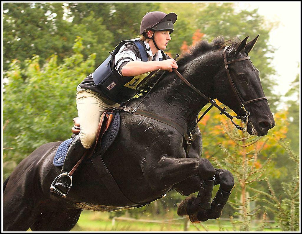 Black Horse Jumping Wallpapers Wallpaper Cave
