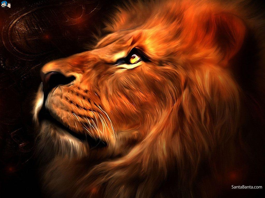 Abstract Lion Wallpapers Wallpaper Cave