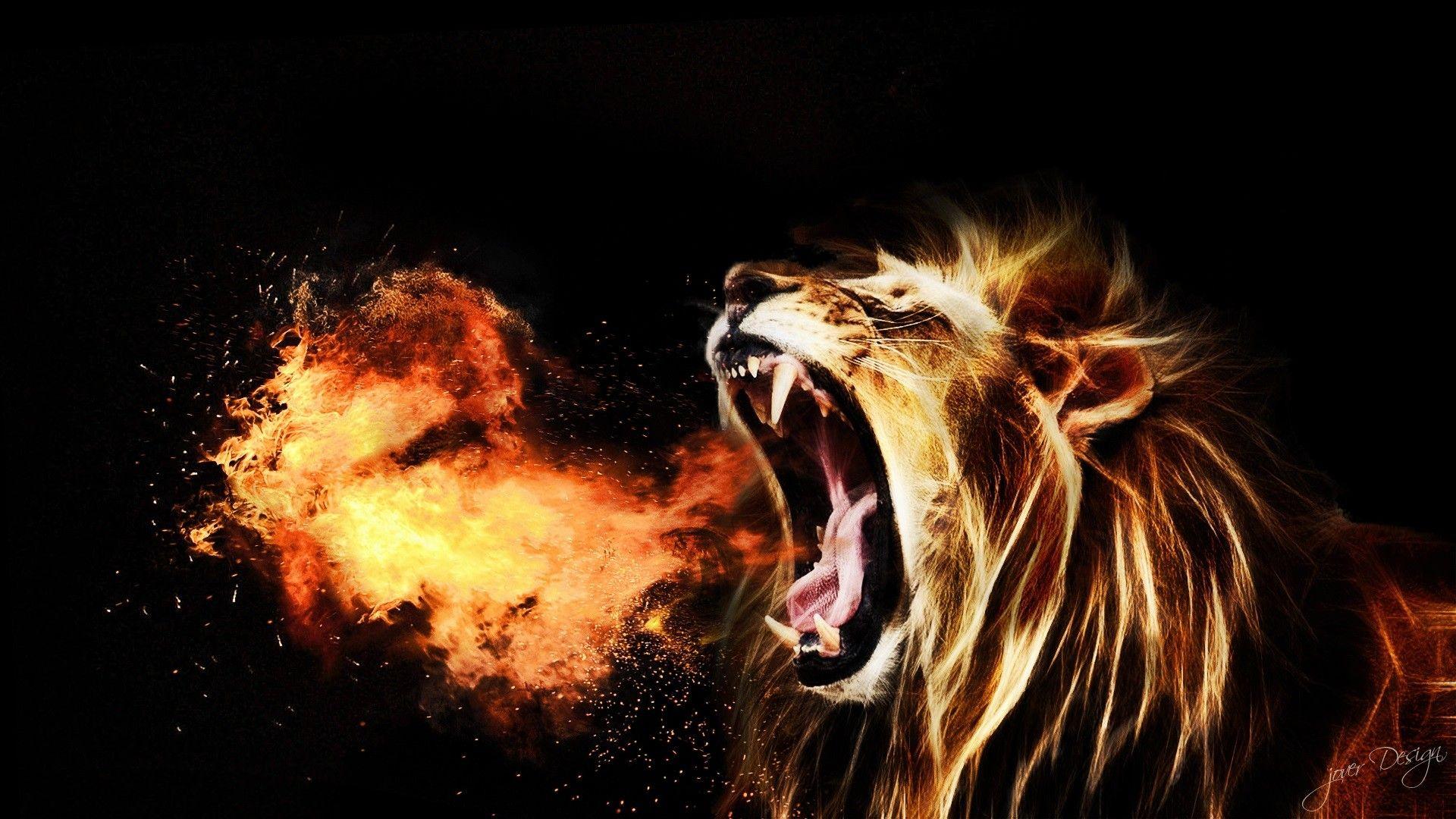 Abstract Lion Wallpapers Wallpaper Cave