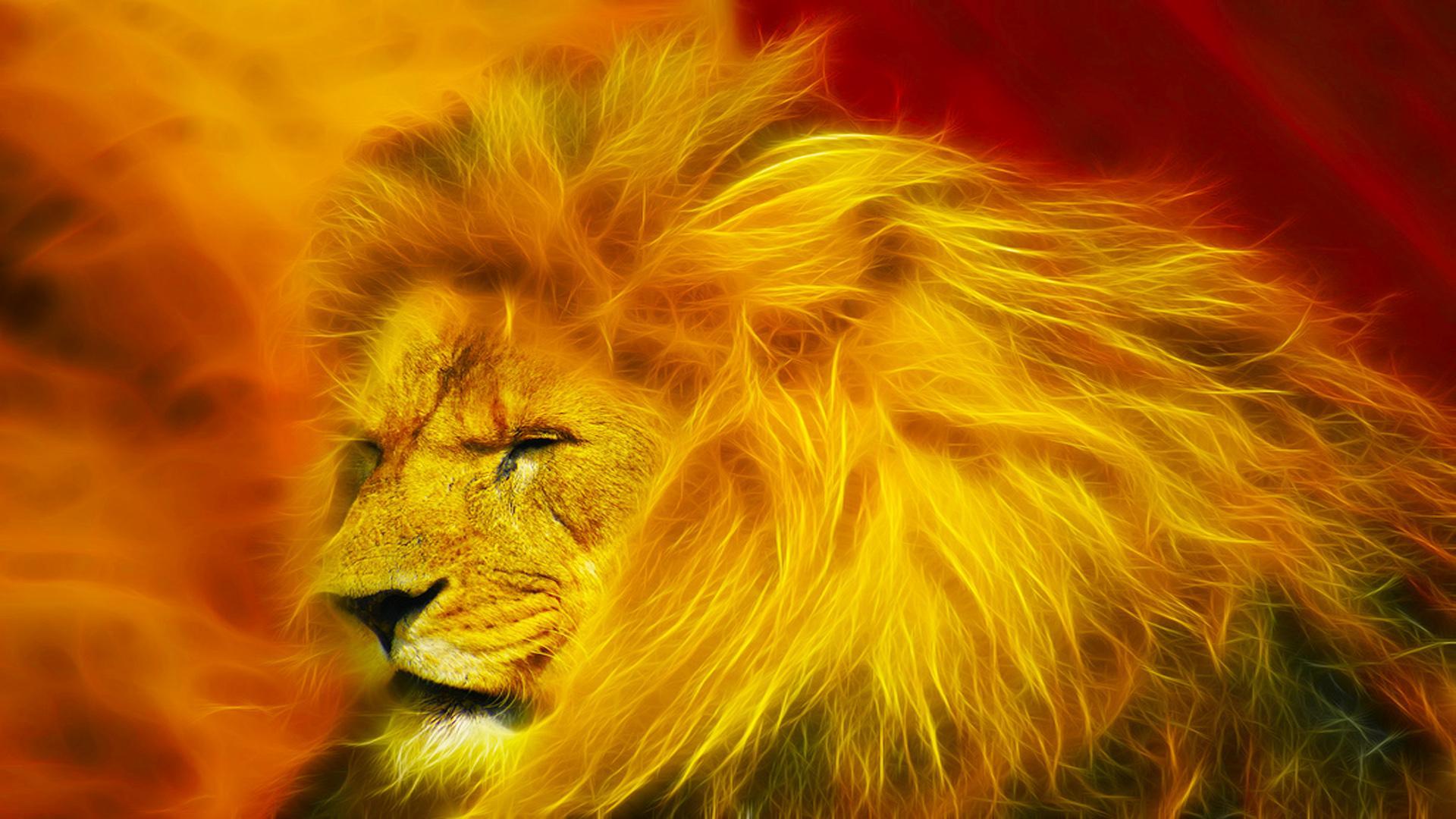 Abstract Lion Wallpapers Wallpaper Cave
