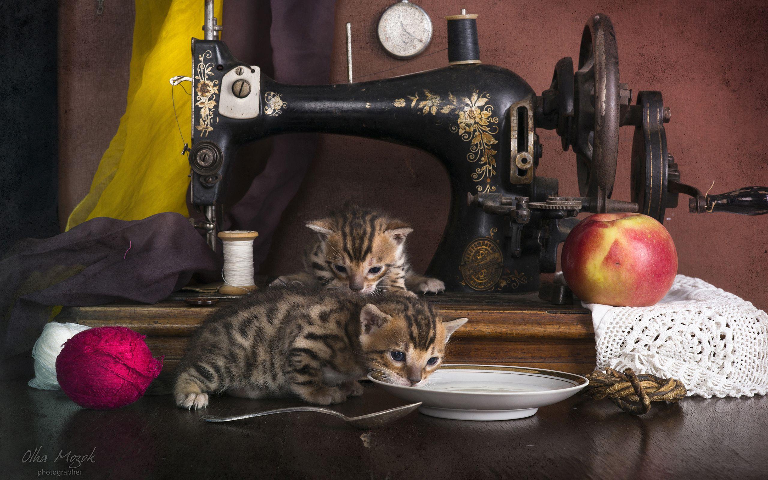 Sewing Machine Wallpapers Wallpaper Cave