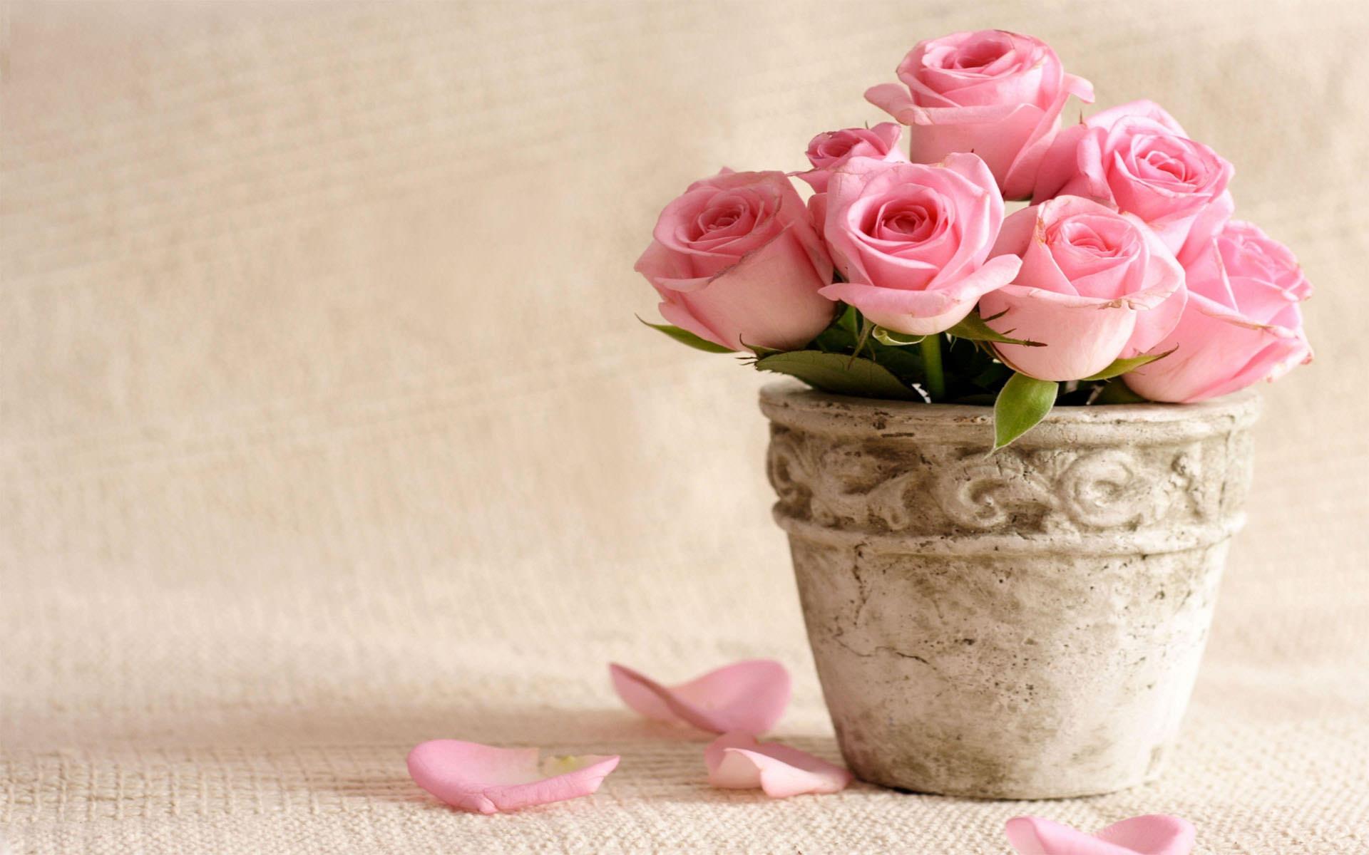 Flower Pot Wallpapers Wallpaper Cave