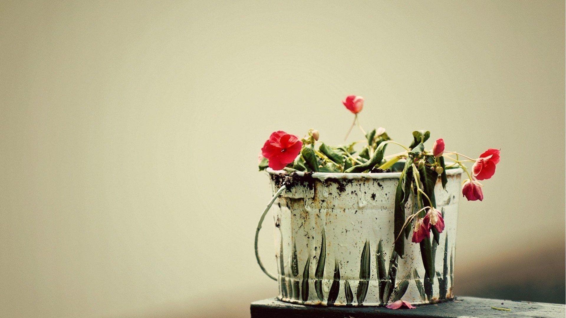 Flower Pot Wallpapers Wallpaper Cave