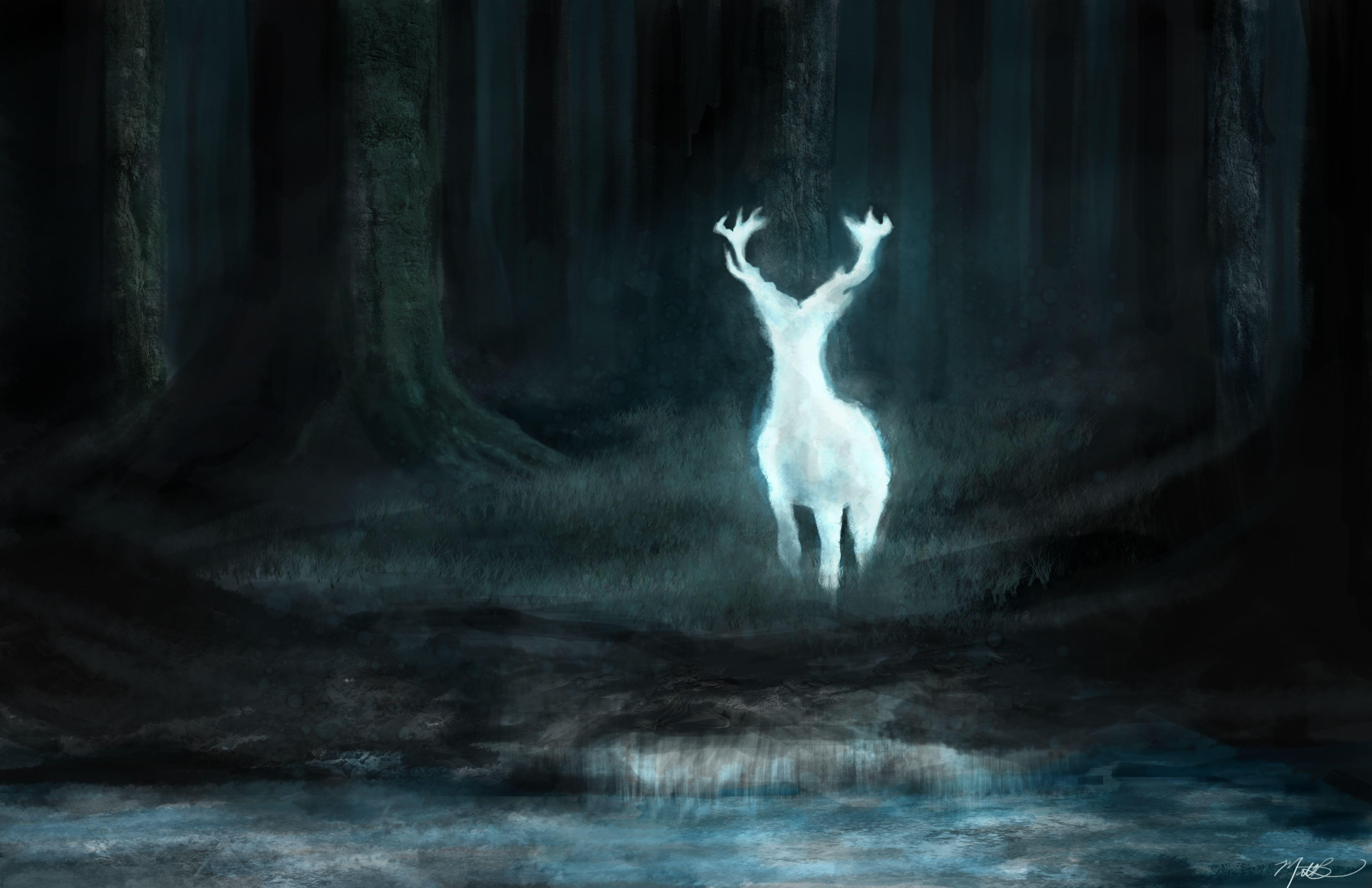 Patronus Wallpapers Wallpaper Cave