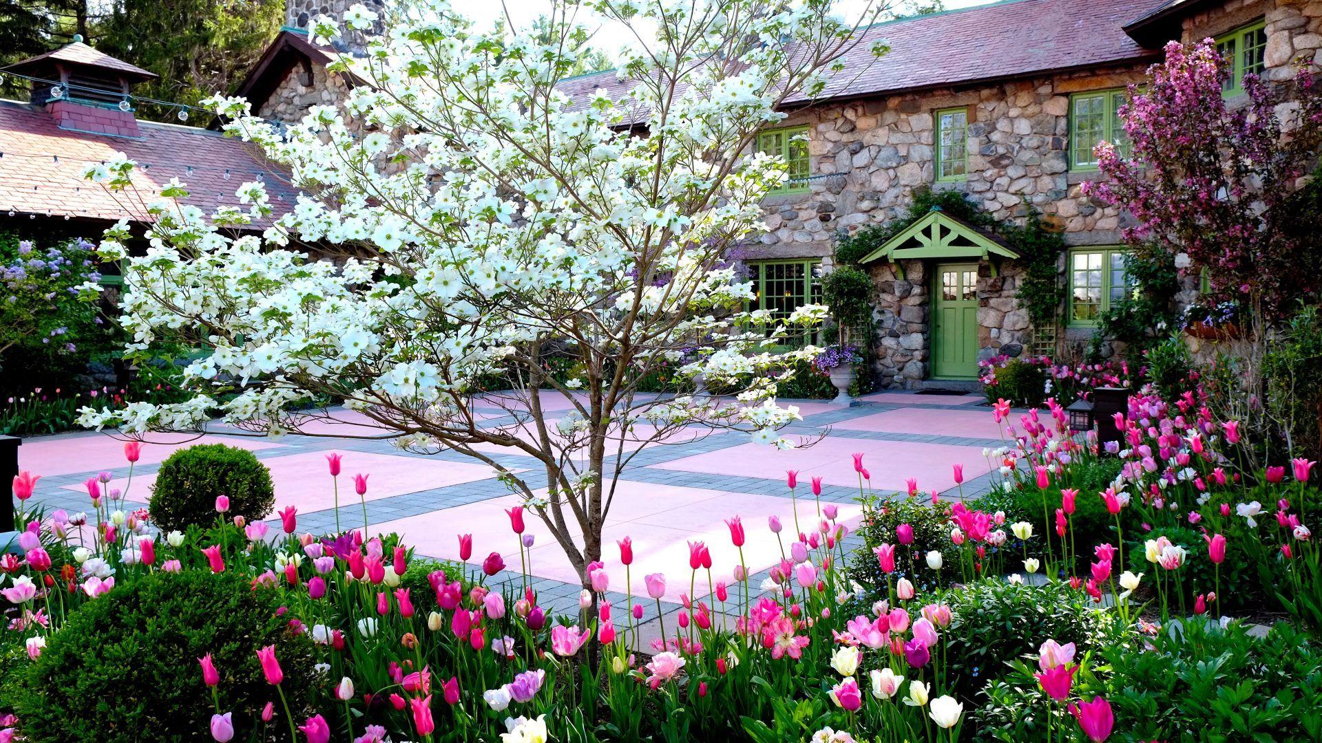 Backyard Wallpapers Wallpaper Cave