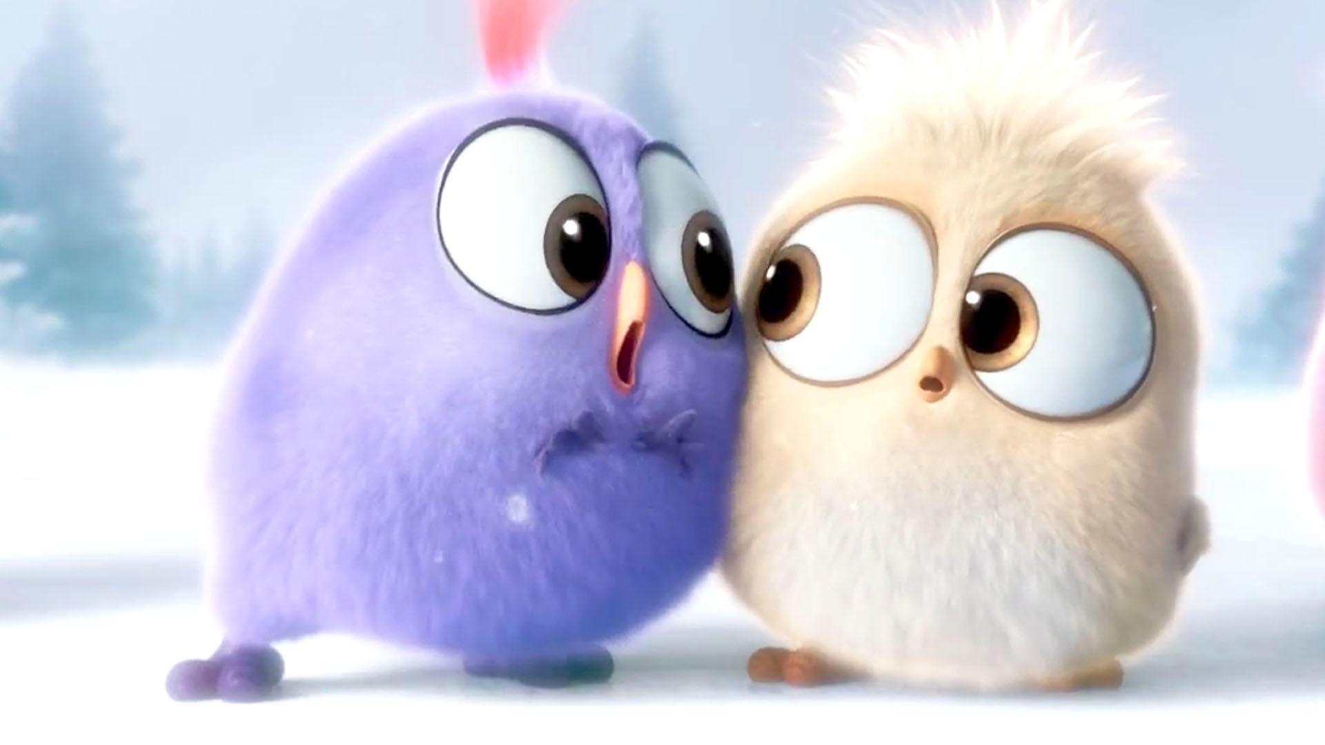 Angry Birds Cute Wallpapers Wallpaper Cave