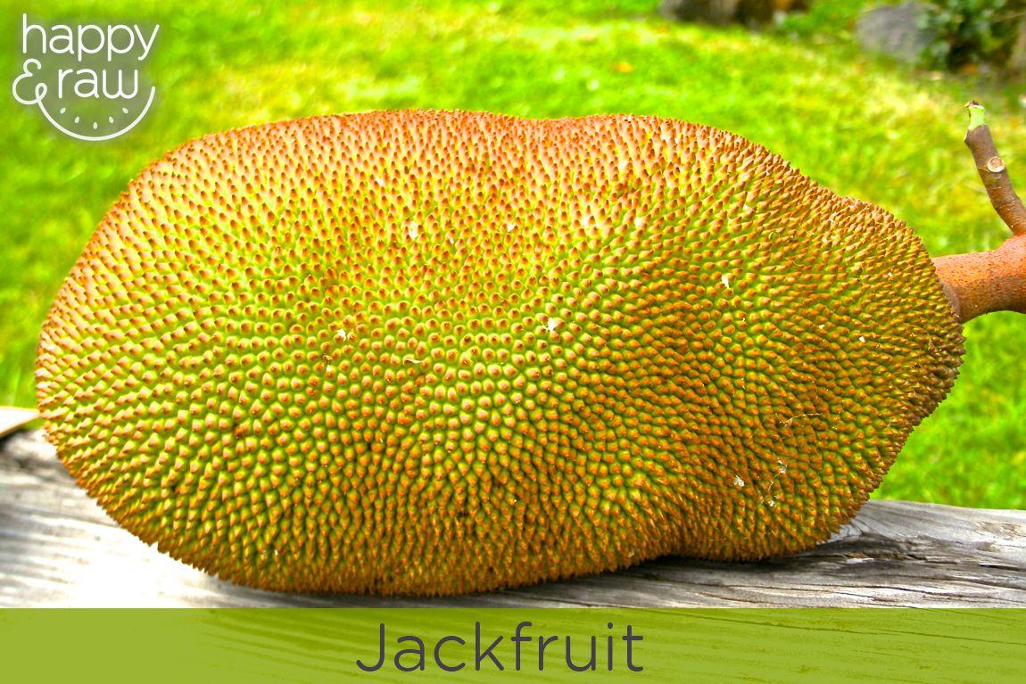 Jackfruit Wallpapers Wallpaper Cave