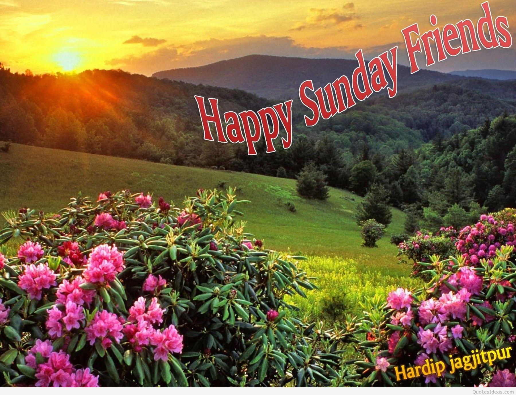 Happy Sunday Wallpapers Wallpaper Cave