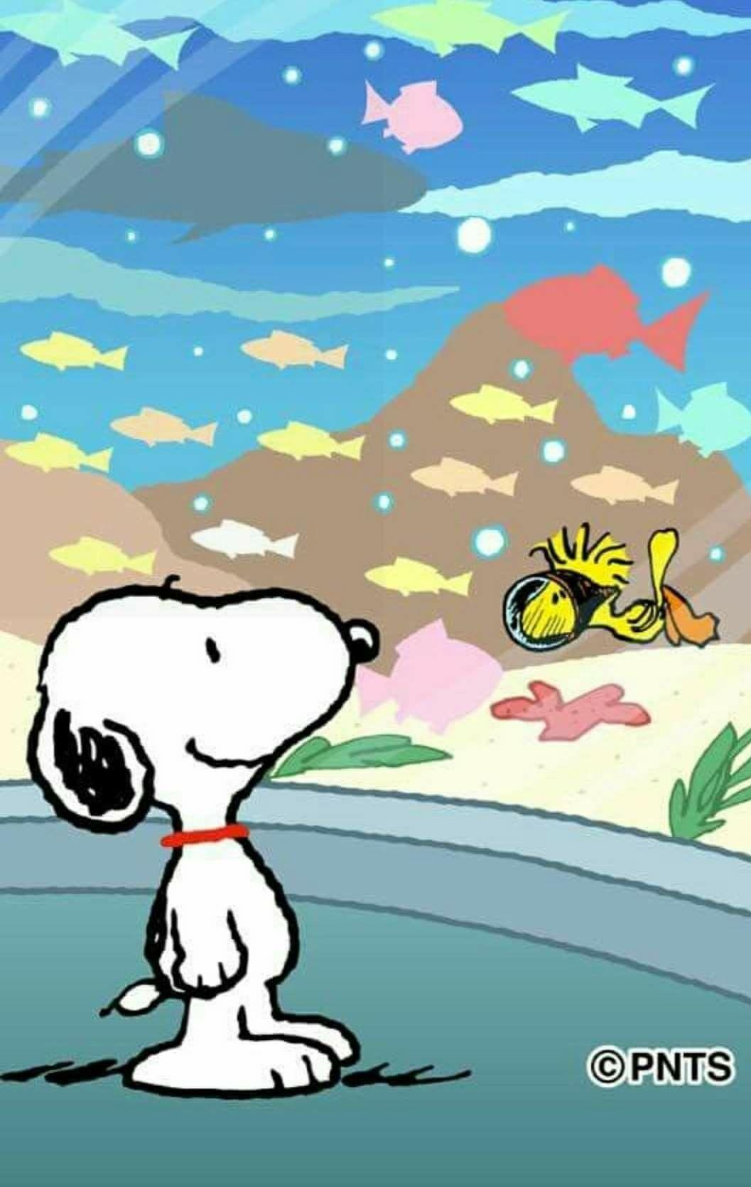 Snoopy And Woodstock Camping Wallpapers Wallpaper Cave