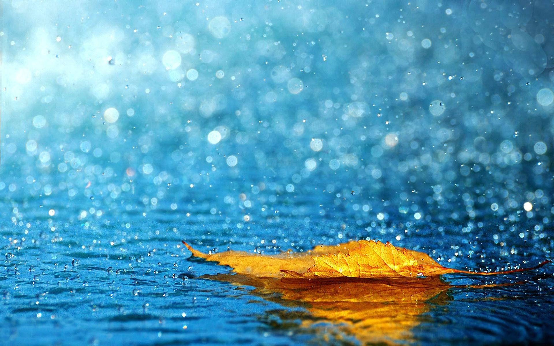 Rainy Season Wallpapers Wallpaper Cave